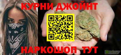apvp Кингисепп