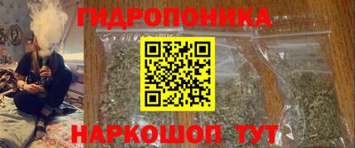 PSILOCYBIN Камышлов