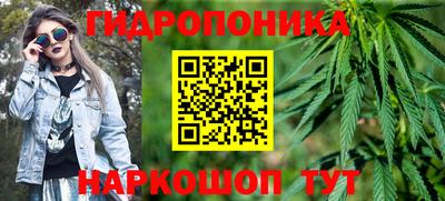 СК Канаш