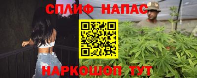 СК Канаш